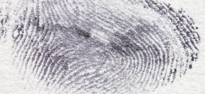 Fingerabdruck, Fingerprint