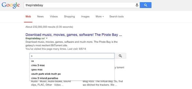 Screenshot: Google Custom Search von TPB.