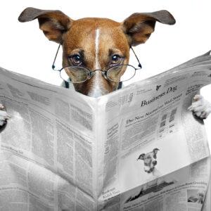 Ein Hund liest eine Zeitung, Schlagzeile, Glosse