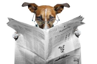Ein Hund liest eine Zeitung, Schlagzeile, Glosse