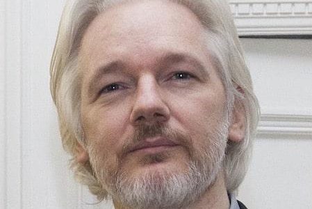 Julian Assange, Wikileaks