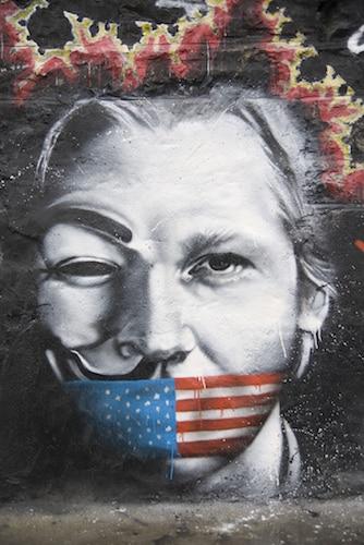 Julian Assange Thierey Ehrmann, Wikileaks