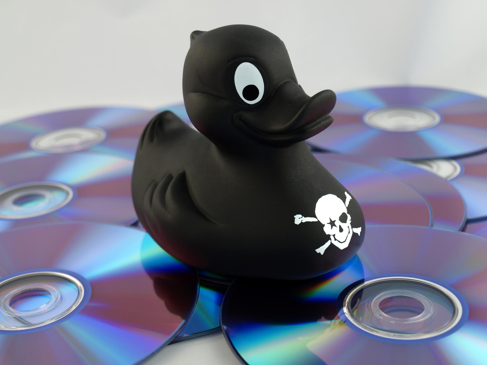Eine schwarze Piraterie-Ente sitzt auf CDs
