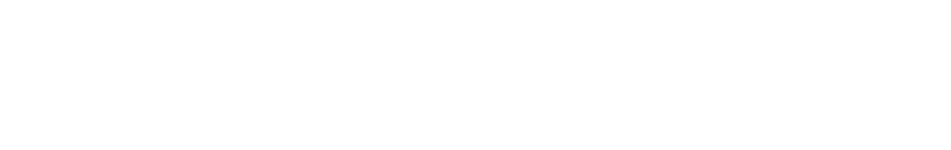 Tarnkappe.info Logo