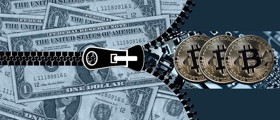 zipper bitcoin dollar