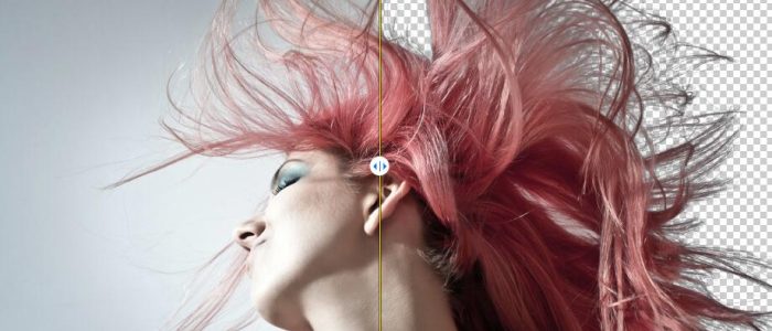 Aiarty Image Matting