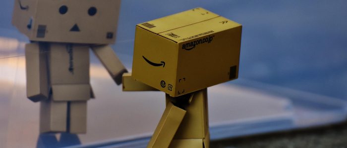 Amazon, Kartons