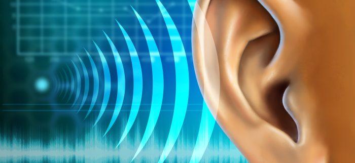 3D-Biodruck zur Ohr-Transplantation