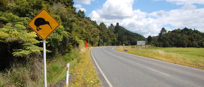 Gelbes Kiwi-Vogel-Straßenschild am Straßenrand in Neuseeland