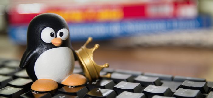 Tux, Figur des Linux Free Software Symbols neben einer Krone auf einer Computertastatur