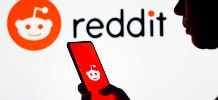 Die Silhouette einer Frau hält ein Smartphone mit dem Reddit-Logo auf dem Bildschirm