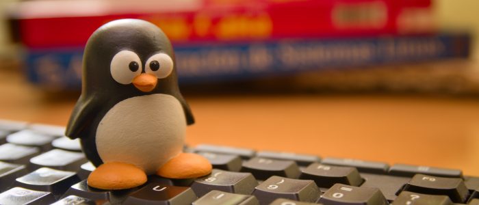 Ein Tux-Pinguin auf einer Tastatur