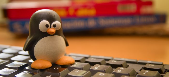 Ein Tux-Pinguin auf einer Tastatur