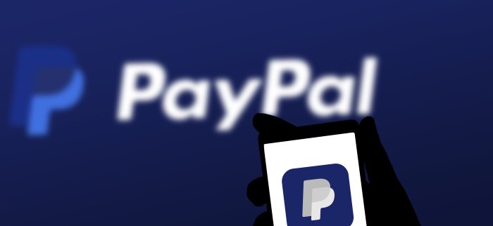 Online-Zahlung mittels PayPal