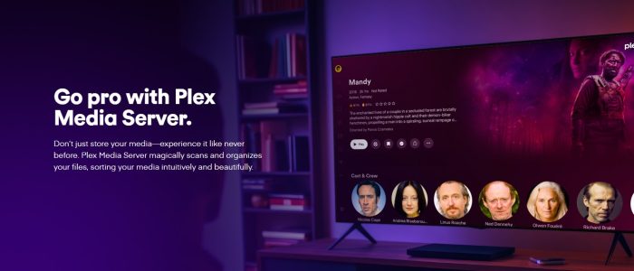 Plex Media Server, Lifetime Pass