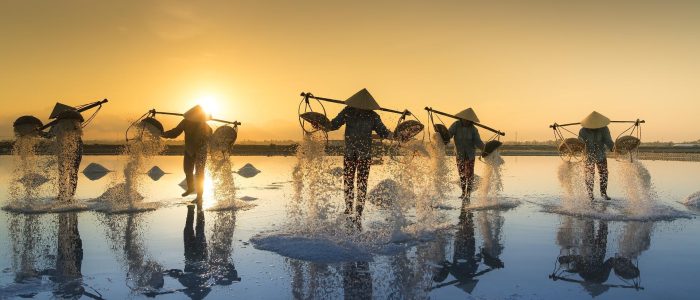 Vietnamesen bei der Salzernte im Wasser