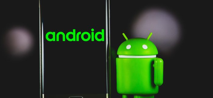 Bugdroid, Android Smartphone