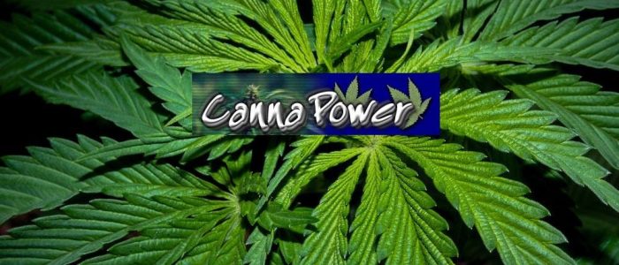 Cannapower, canna power