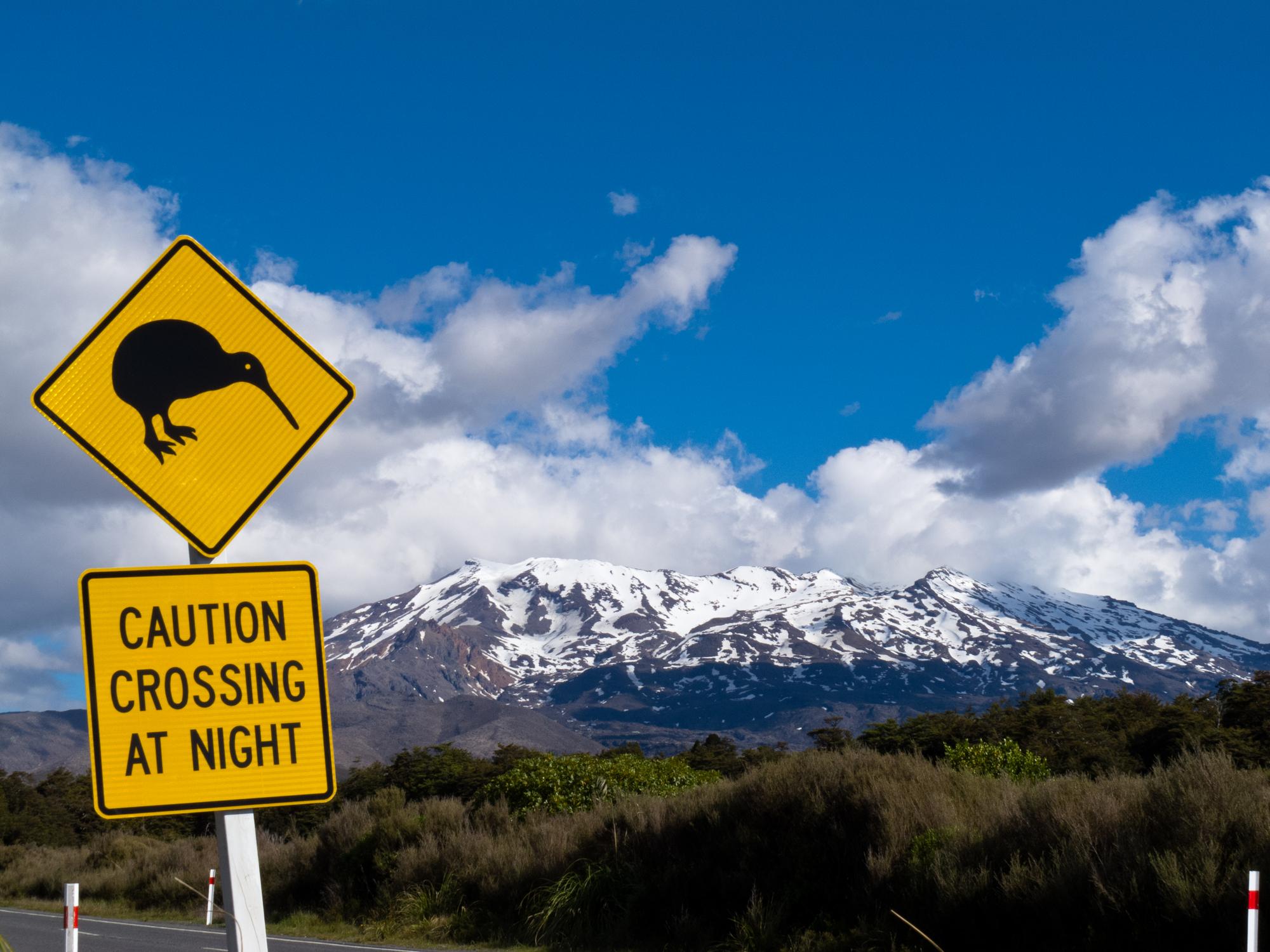 Kiwi Crossing Straßenschild und Vulkan Ruapehu in NZ