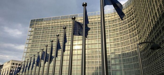 eu-kommission, Aktionsplan