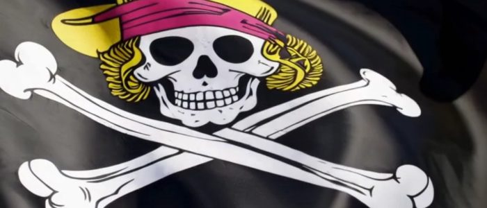 Piraten-Sperren, Flagge