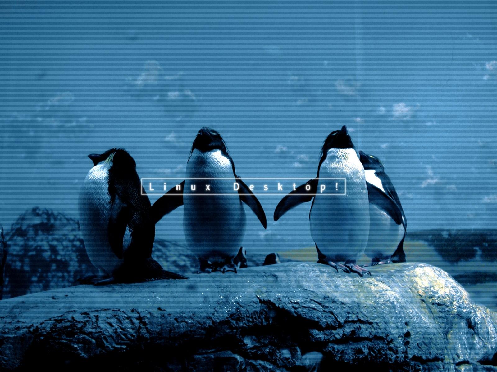 pro-linux pinguine linux