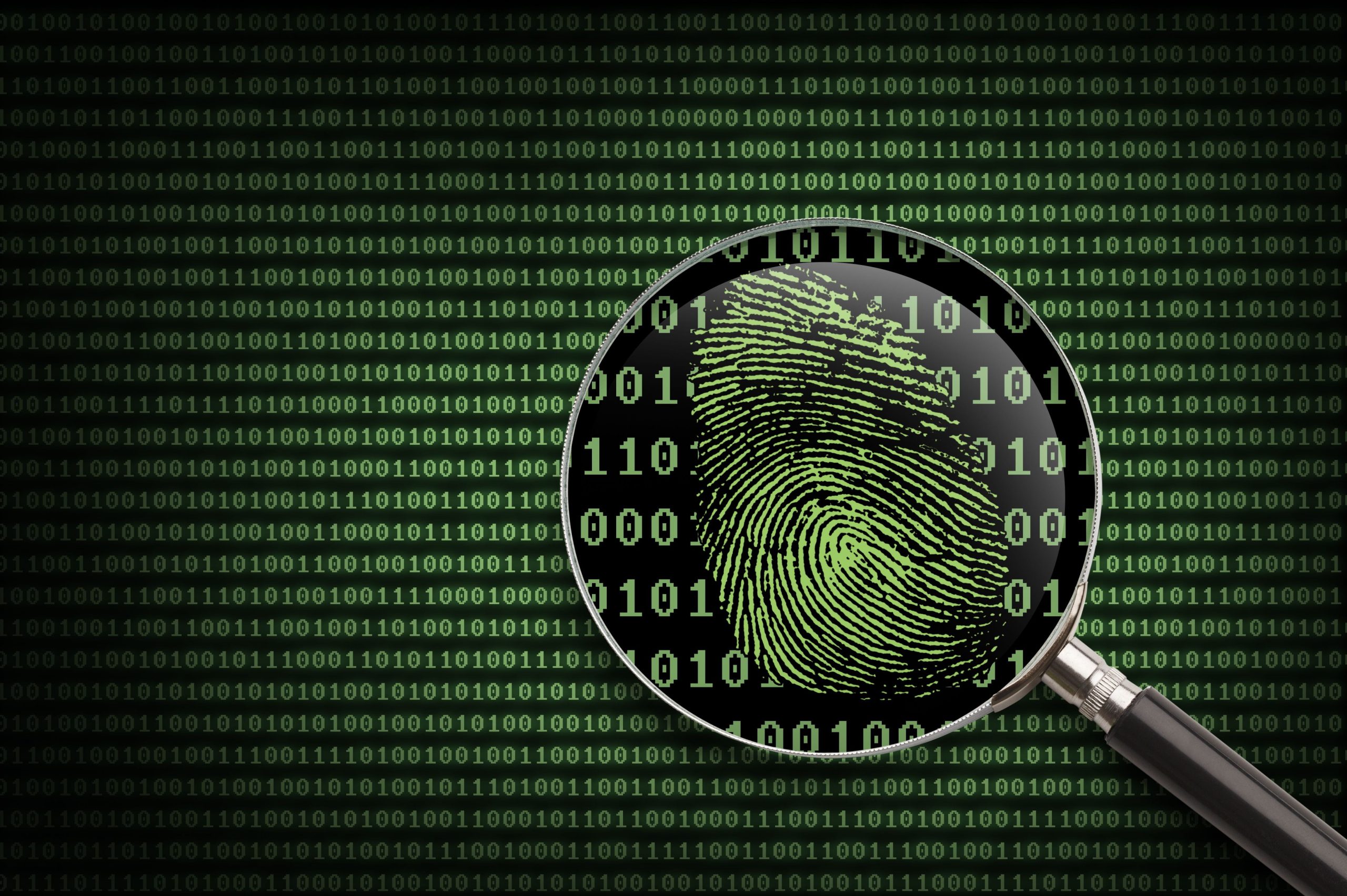 Cybercrime, Fingerprint