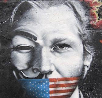 Julian Assange Thierey Ehrmann, Wikileaks