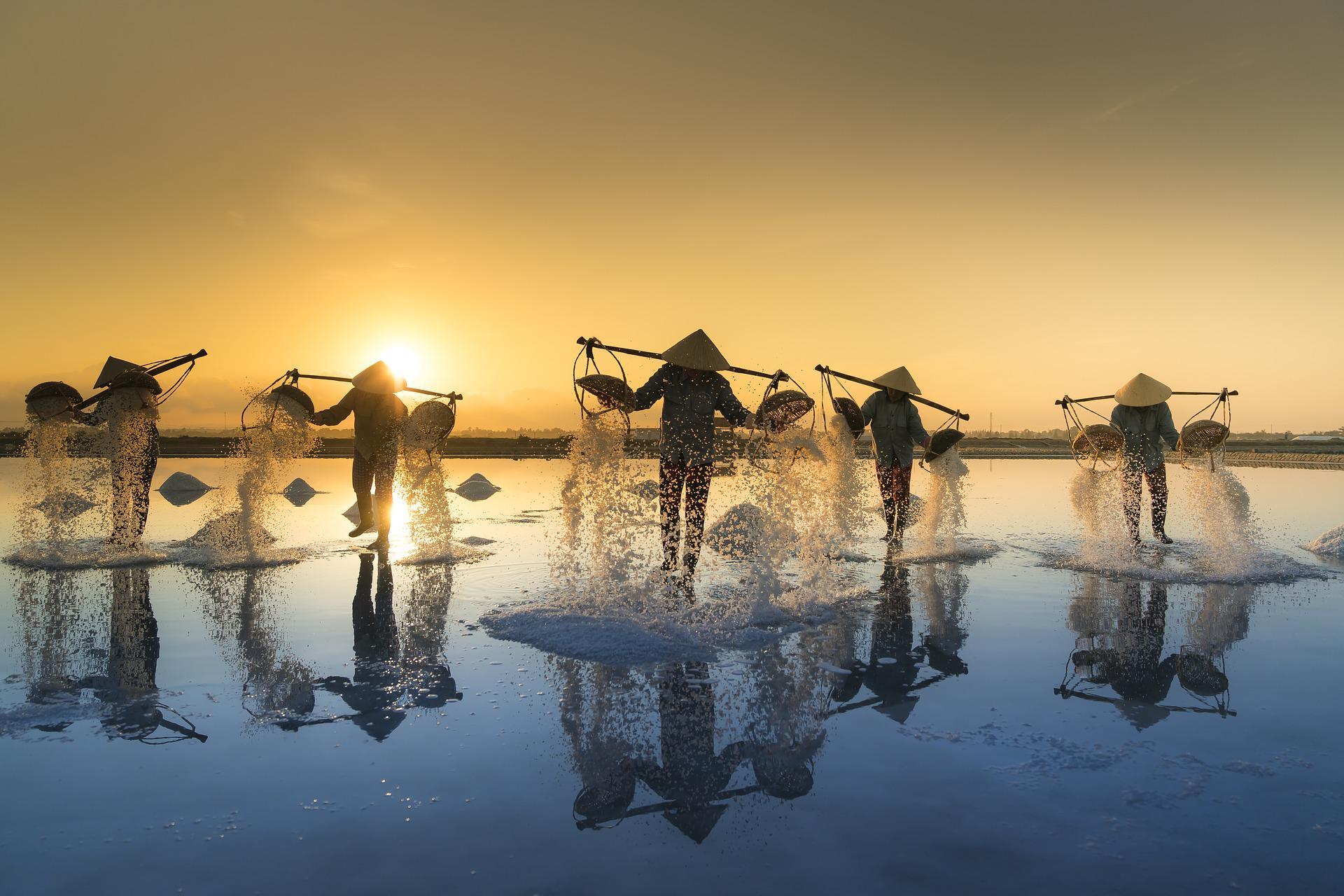 Vietnamesen bei der Salzernte im Wasser