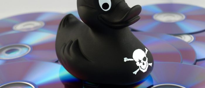 Eine schwarze Piraterie-Ente sitzt auf CDs